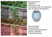 Canon EOS 650D 650Da Astrokamera astromodifiziert 2 Jahre Gewährleistung