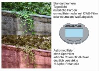 Canon EOS 600D 600Da Astrokamera astromodifiziert 3 Jahre Gewährleistung