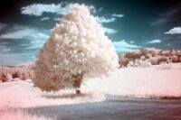 ✅ Canon 600D fotoaparát full spectrum infračervená astro UV 2 roky záruka