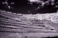 Canon EOS Vollspektrumumbau