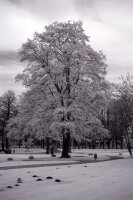 Canon RP Vollspektrumkamera mit Kolari Filter 2 Jahre Garantie