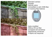 Canon EOS 700D Astro Astrocam Astrophotography H-alpha Digital Camera