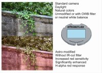 OWB Weißabgleich-Filter eifelcam-2 für astromodifizierte Canon APS-C-Kameras