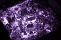 Canon EOS 700D Vollspektrum Infrarotkamera Astrokamera UV 2 Jahre Garantie