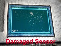 Service Leica M9 (all models) CCD Sensor Repair Corrosion and Scratches UK-EN 2