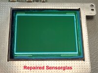 Service Leica M9 (all models) CCD Sensor Repair Corrosion and Scratches UK-EN 2