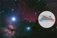 Service Leica M9 (alle modeller) CCD-sensor korrosjon riper NO-EN 2