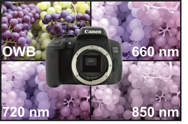 Canon EOS 750D Vollspektrumkamera - gepflegter Zustand - 3 Jahre Gewährleistung
