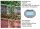 Canon EOS 70D Full Spectrum – Garantie de 2 ans