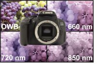 Canon EOS 700D Full Spectrum Camera – 2-Year Warranty